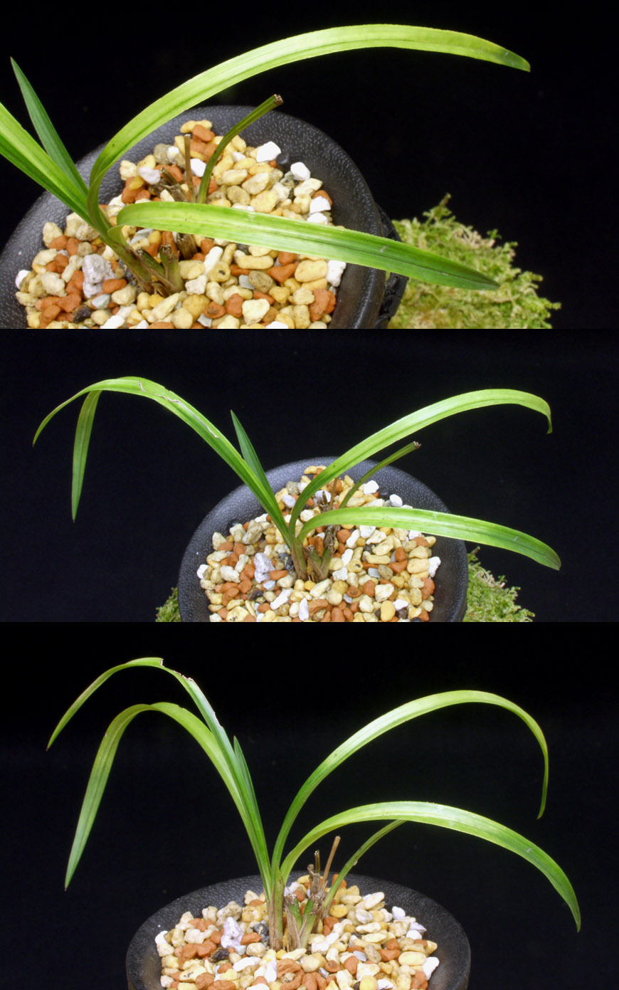 ������ ū������ �� �� �ֽ��ϴ�.