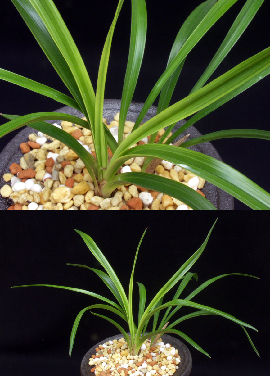 ������ ū������ �� �� �ֽ��ϴ�.