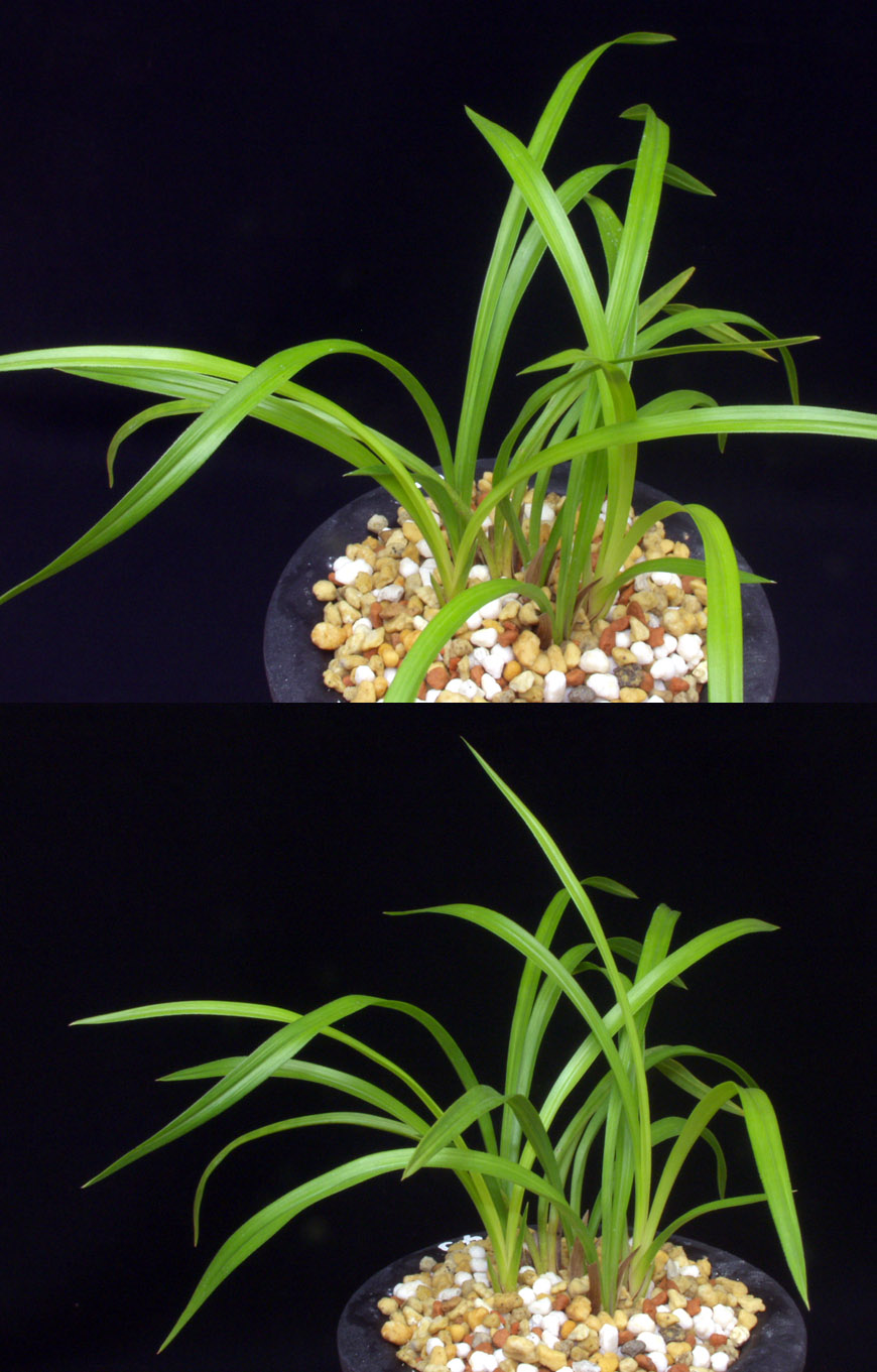 ������ ū������ �� �� �ֽ��ϴ�.