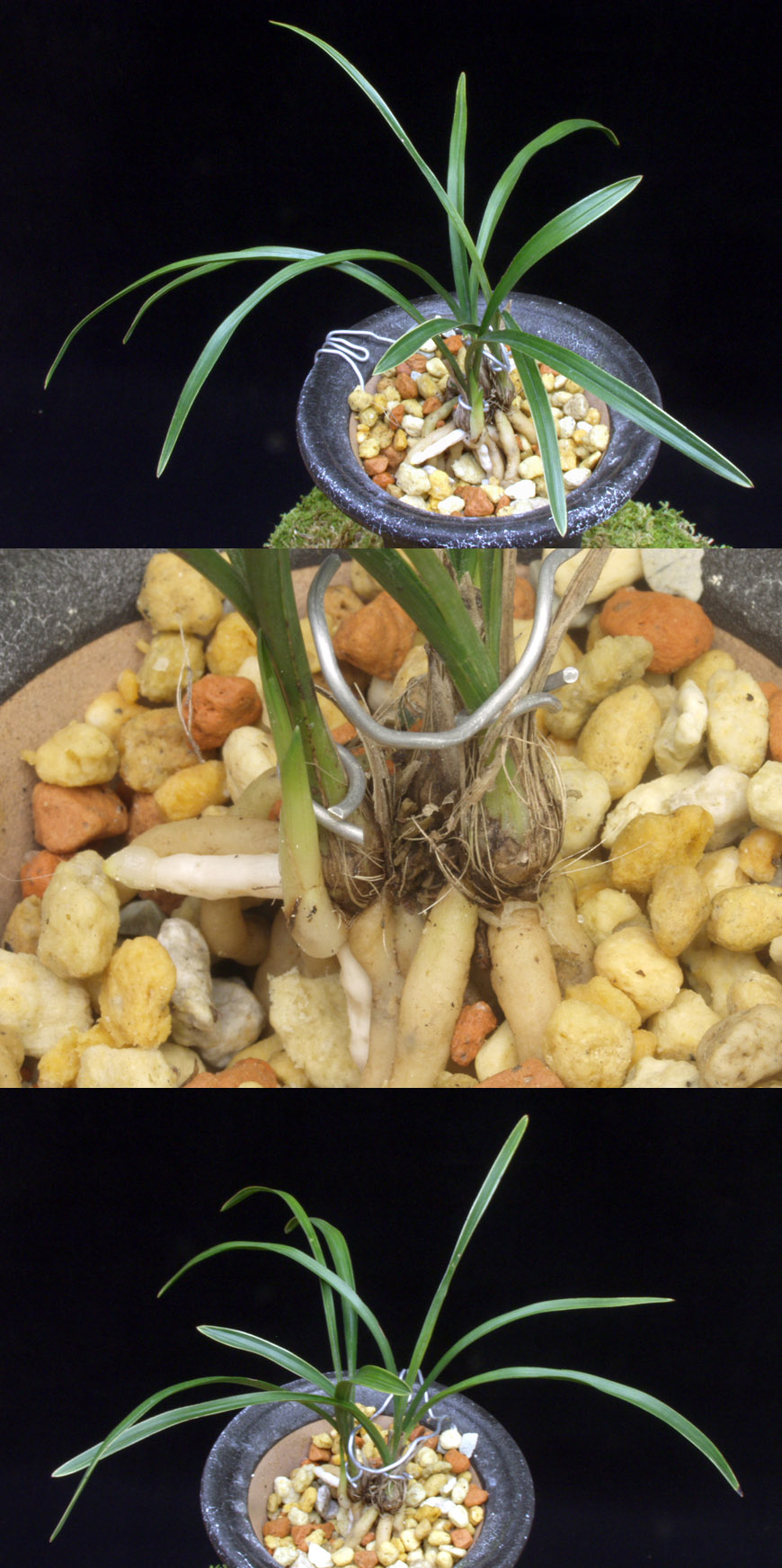 ������ ū������ �� �� �ֽ��ϴ�.