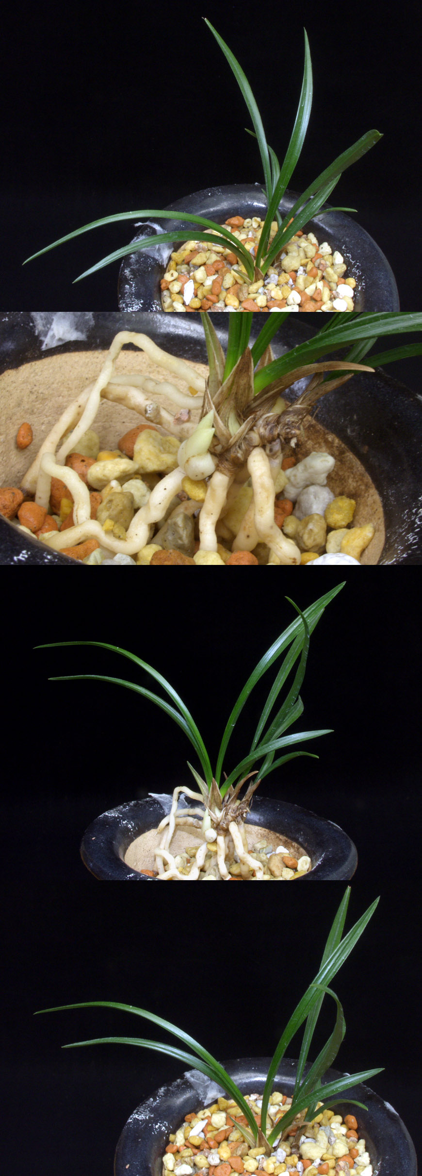 ������ ū������ �� �� �ֽ��ϴ�.