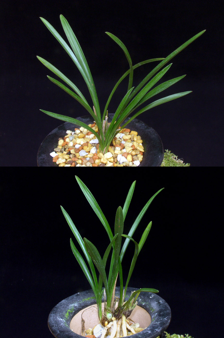 ������ ū������ �� �� �ֽ��ϴ�.