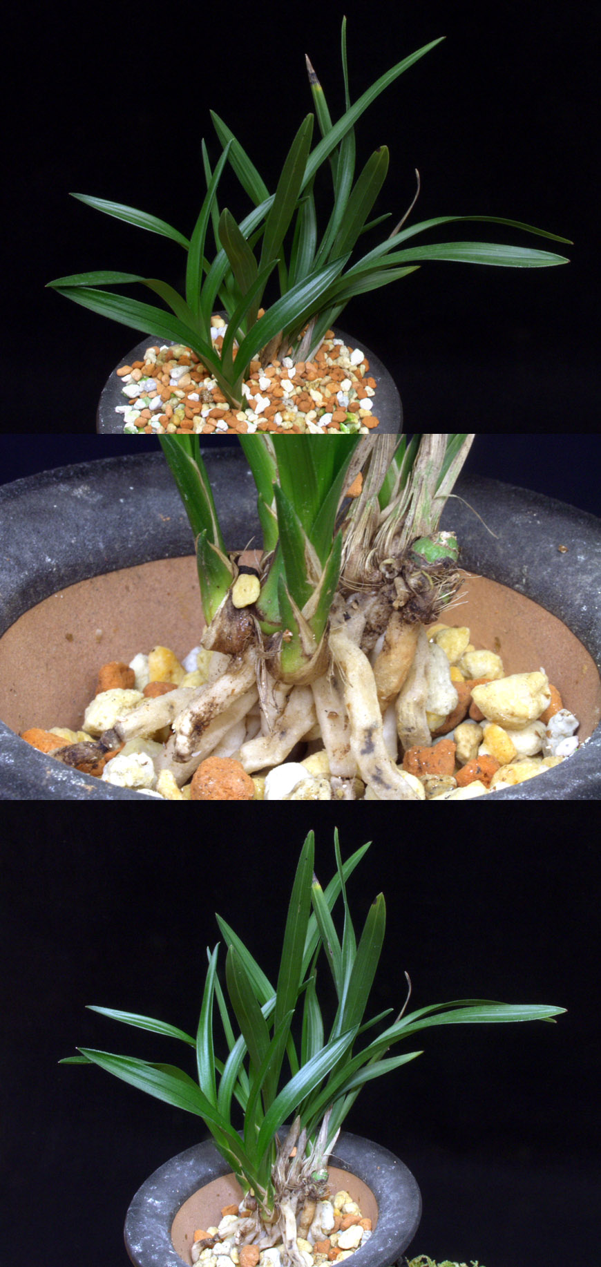 ������ ū������ �� �� �ֽ��ϴ�.