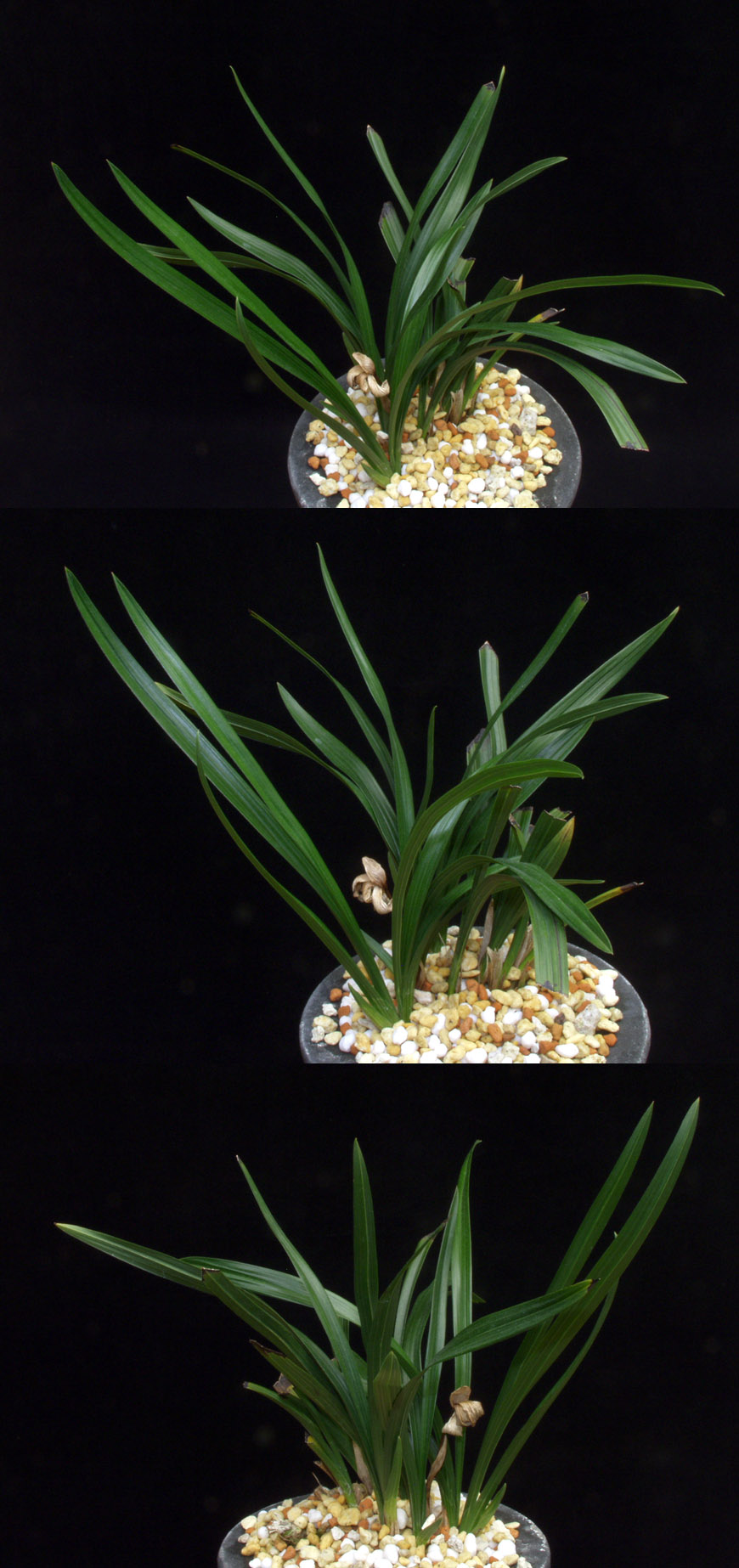 ������ ū������ �� �� �ֽ��ϴ�.