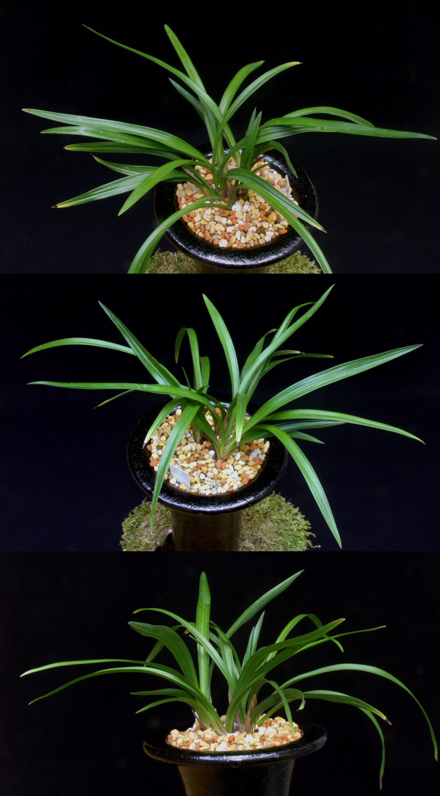 ������ ū������ �� �� �ֽ��ϴ�.