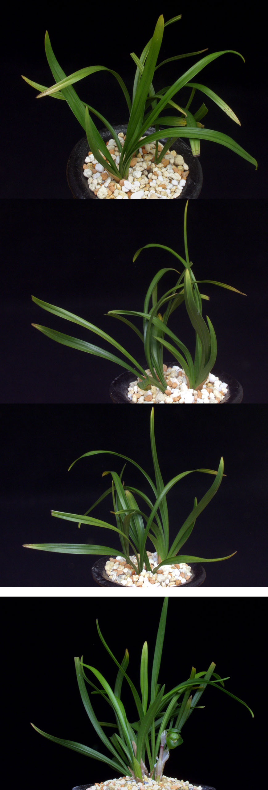 ������ ū������ �� �� �ֽ��ϴ�.