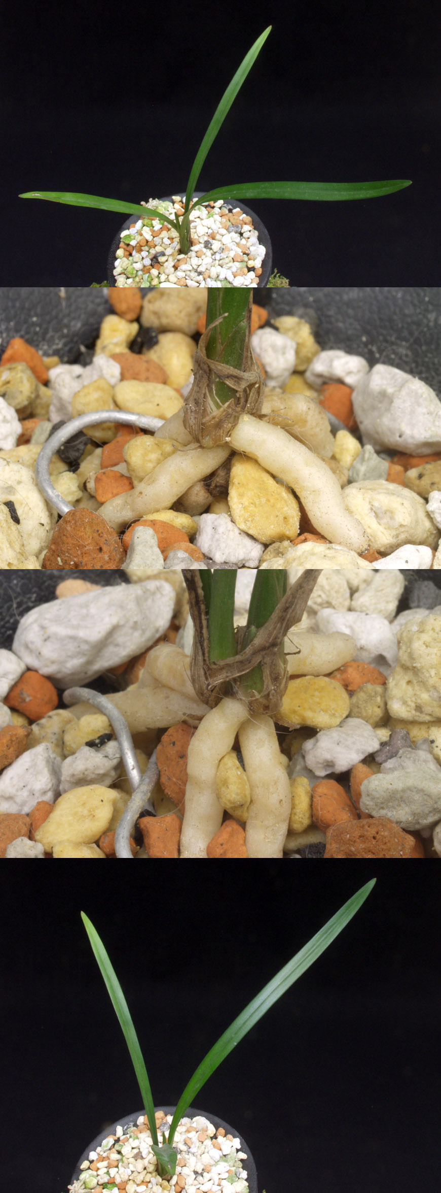 ������ ū������ �� �� �ֽ��ϴ�.