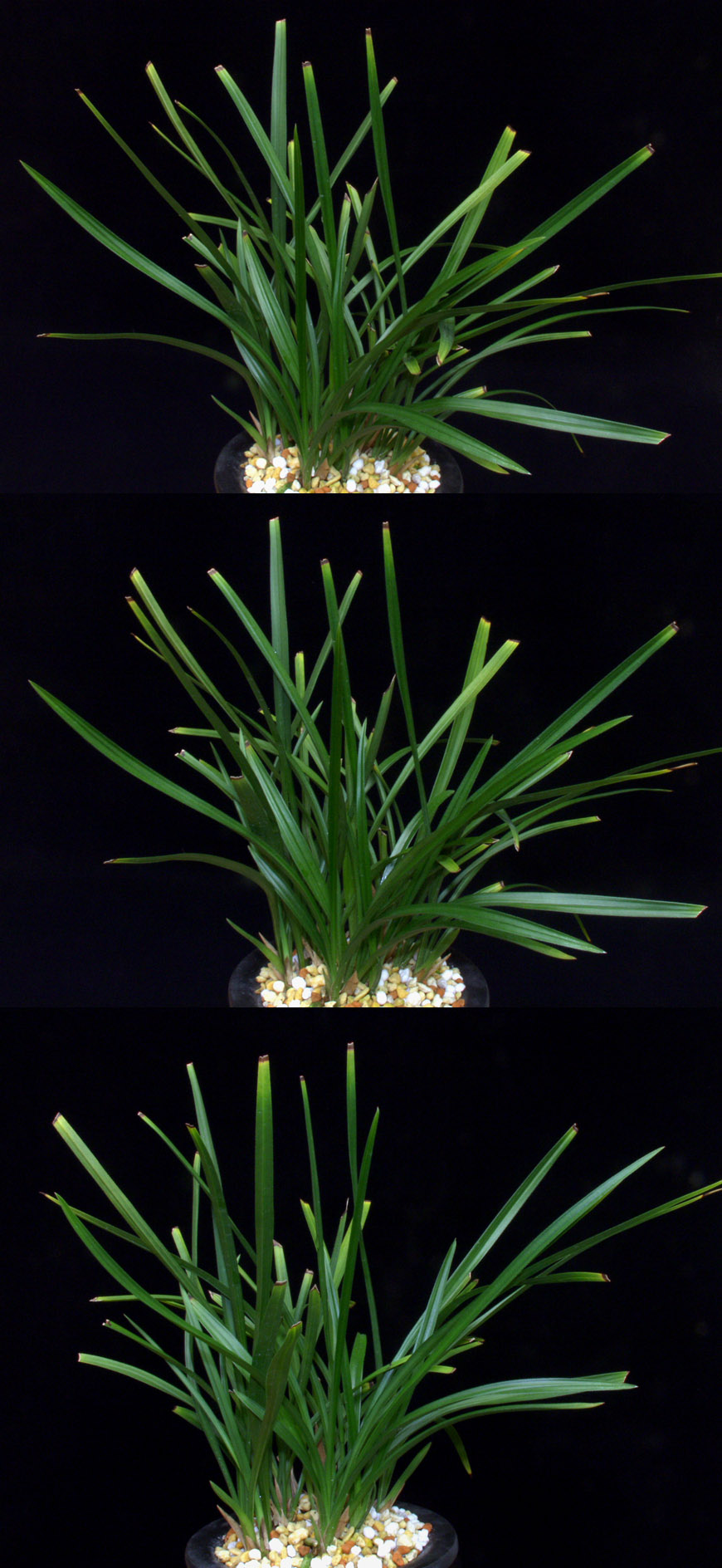 ������ ū������ �� �� �ֽ��ϴ�.