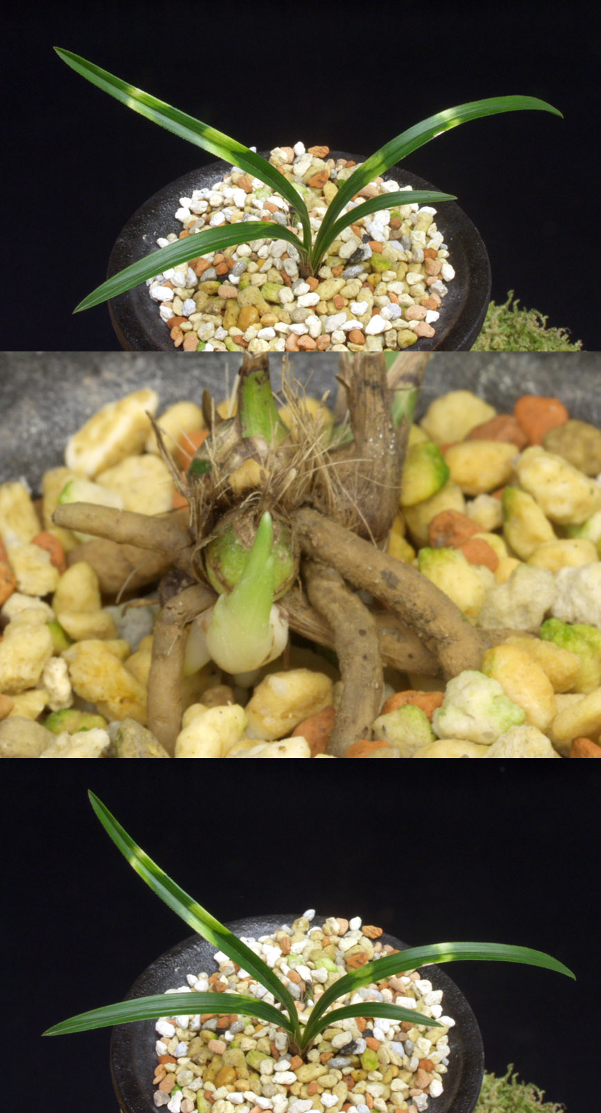 ������ ū������ �� �� �ֽ��ϴ�.