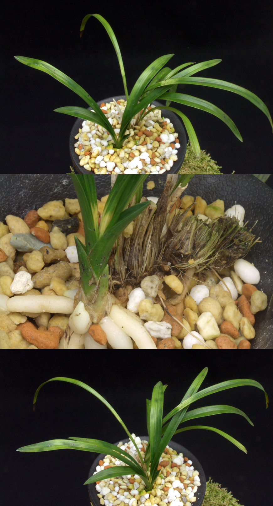 ������ ū������ �� �� �ֽ��ϴ�.