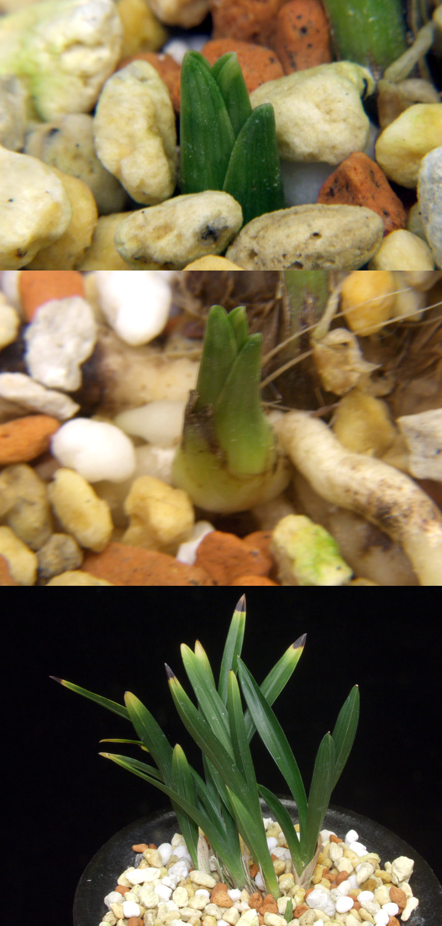 ������ ū������ �� �� �ֽ��ϴ�.