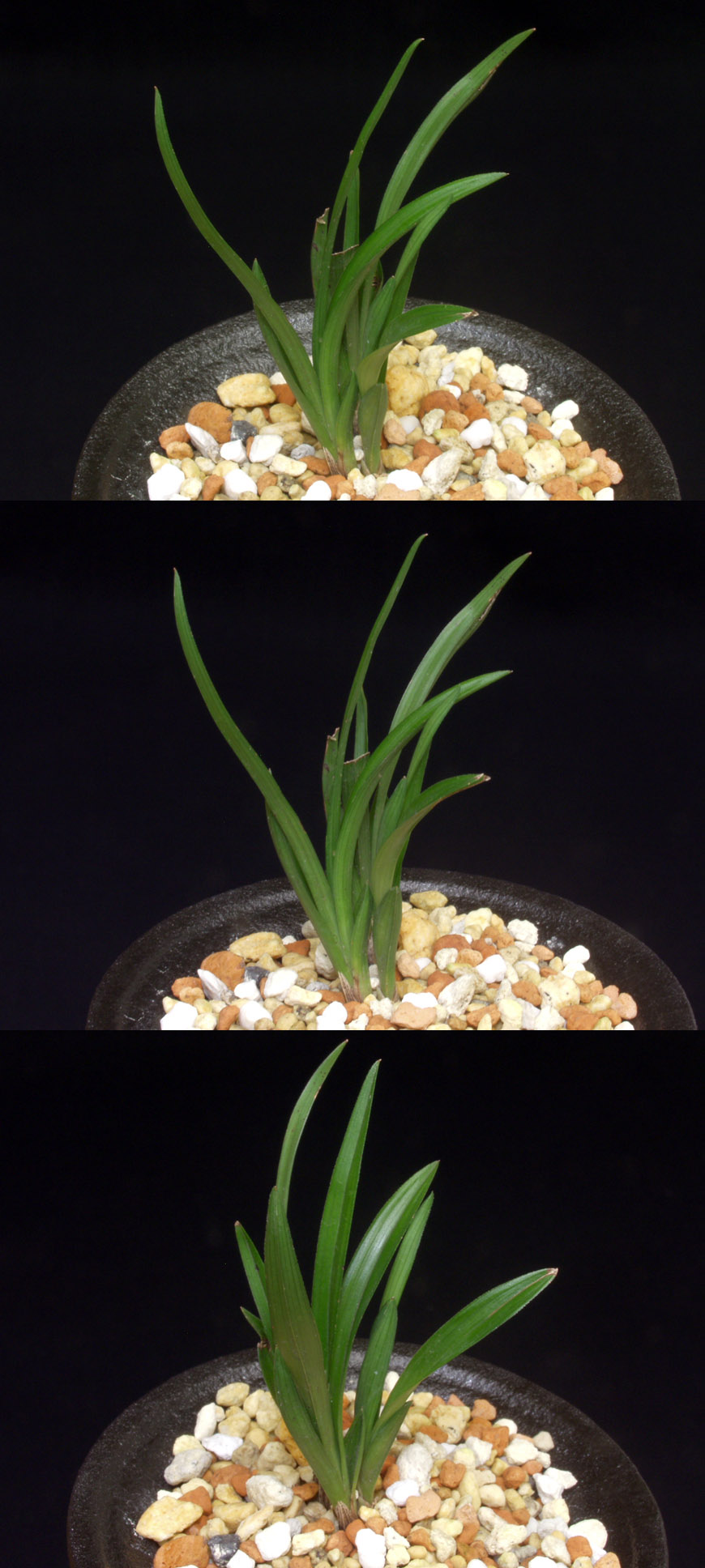 ������ ū������ �� �� �ֽ��ϴ�.