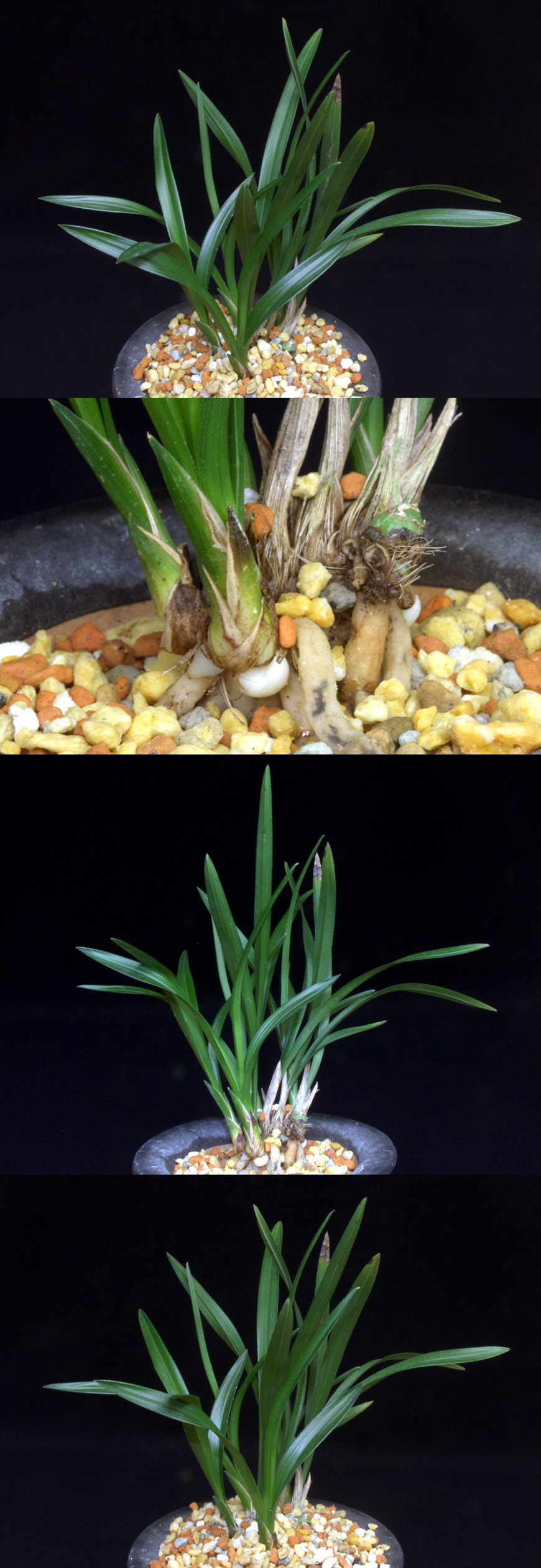 ������ ū������ �� �� �ֽ��ϴ�.