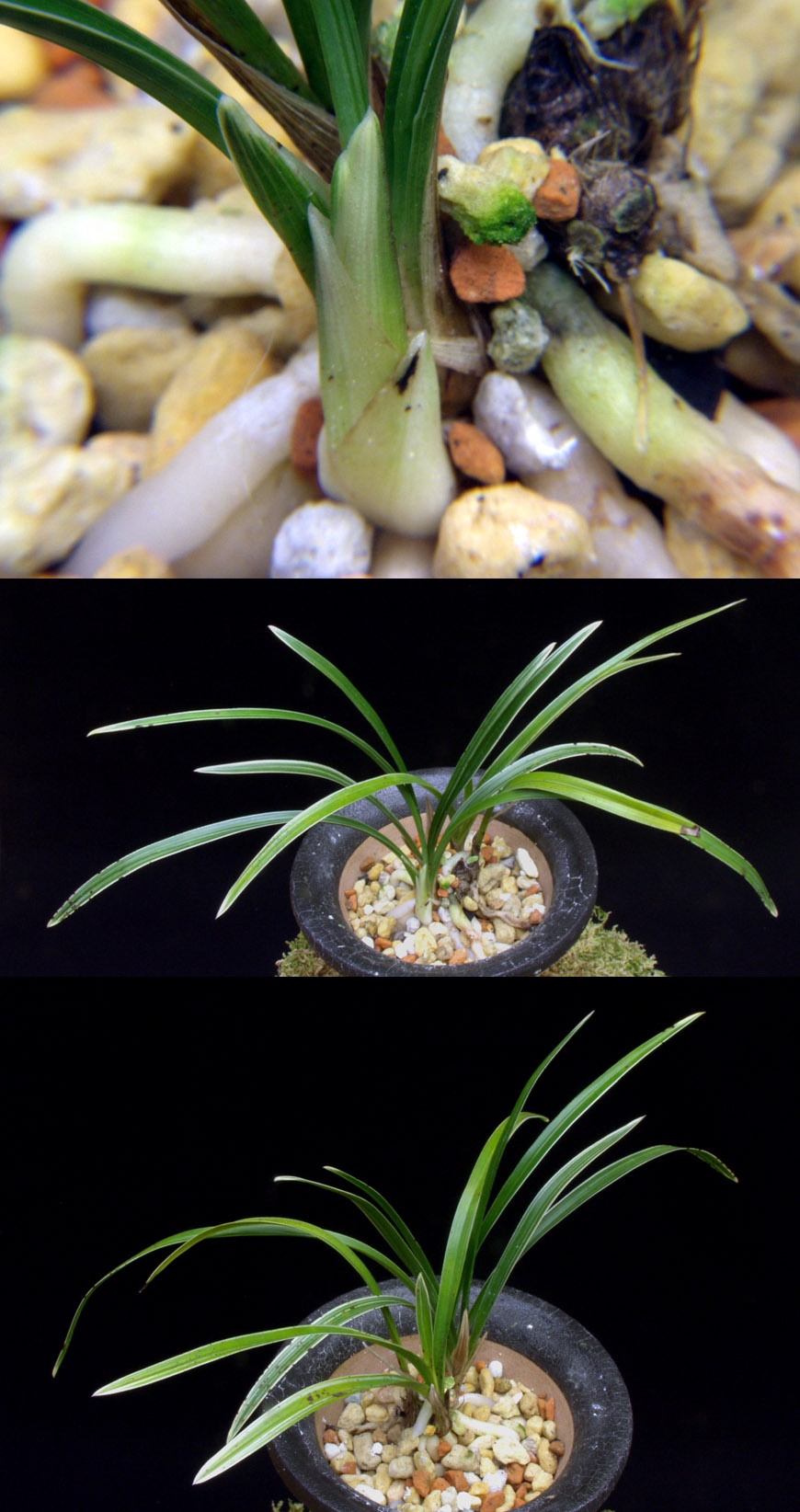 ������ ū������ �� �� �ֽ��ϴ�.