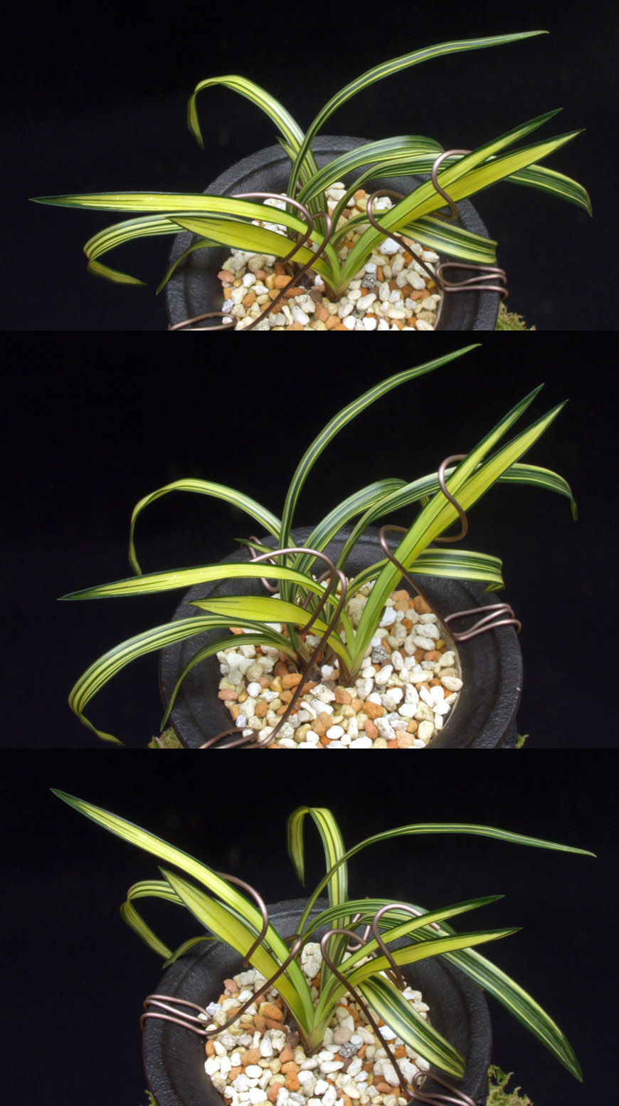 ������ ū������ �� �� �ֽ��ϴ�.