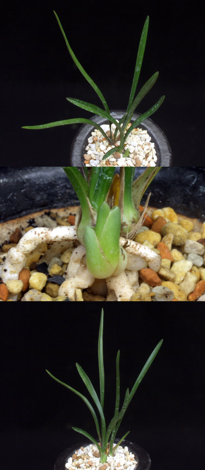 ������ ū������ �� �� �ֽ��ϴ�.