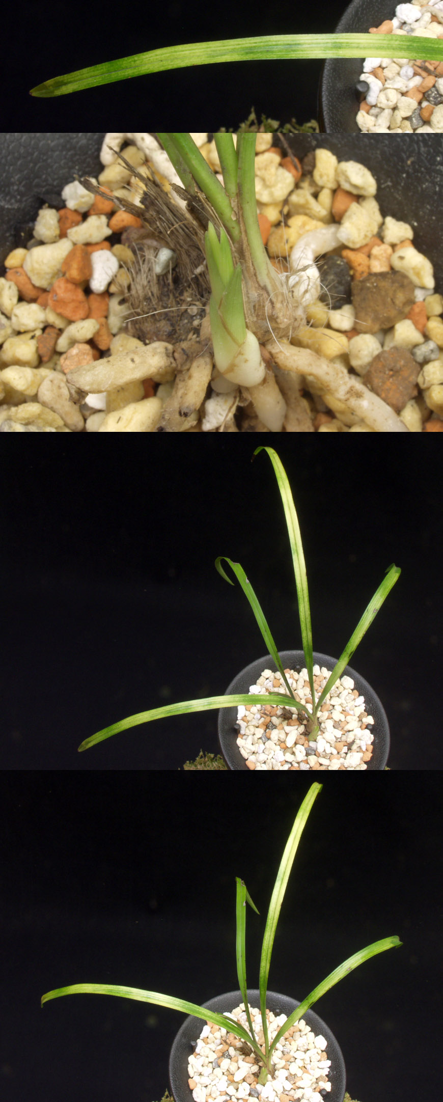 ������ ū������ �� �� �ֽ��ϴ�.