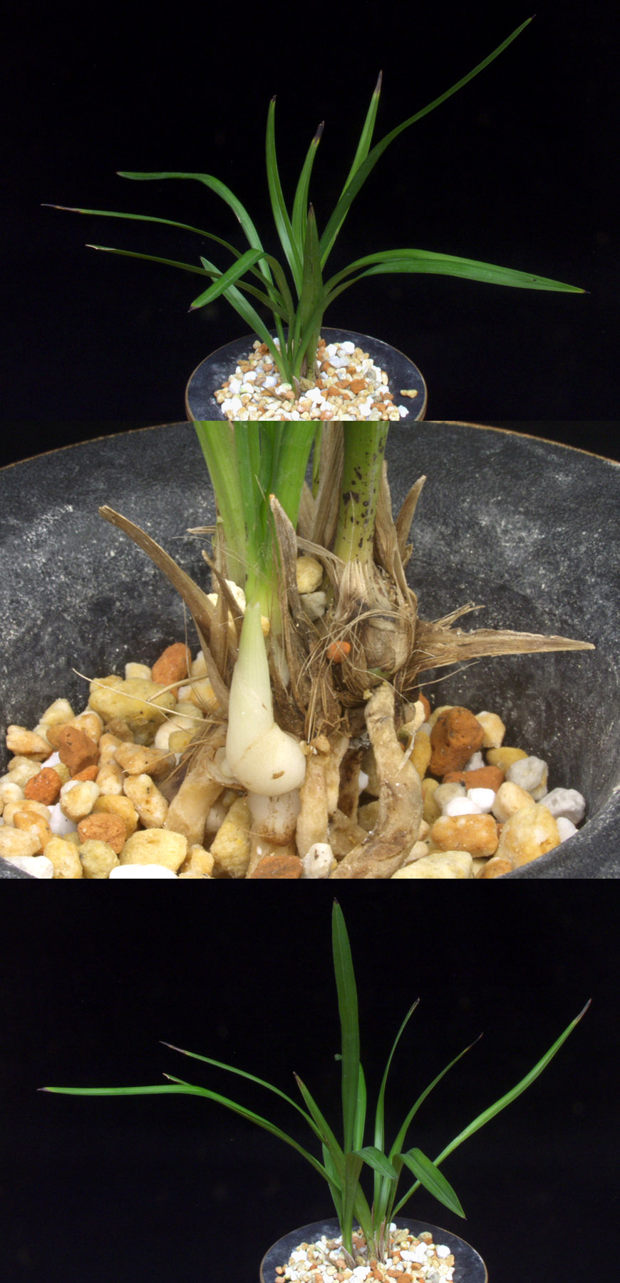 ������ ū������ �� �� �ֽ��ϴ�.