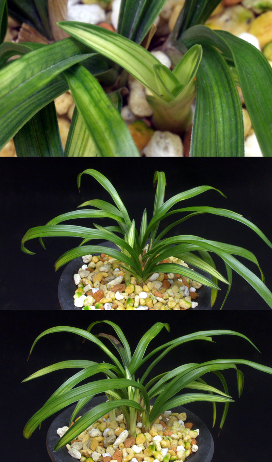 ������ ū������ �� �� �ֽ��ϴ�.