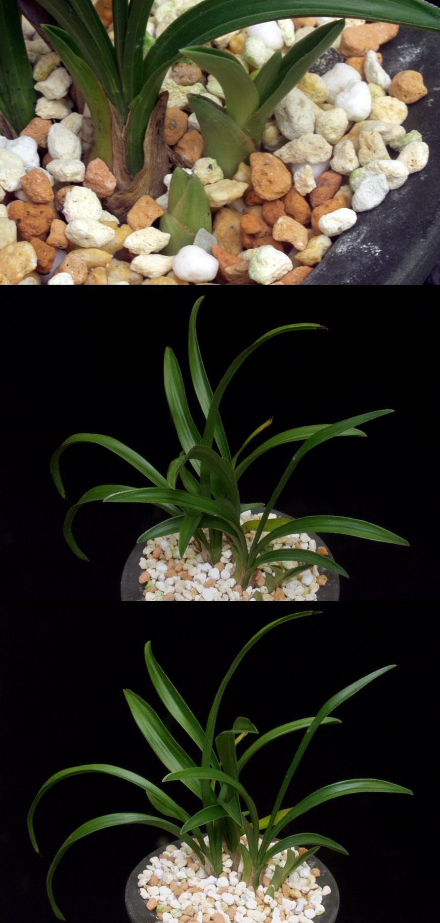 ������ ū������ �� �� �ֽ��ϴ�.