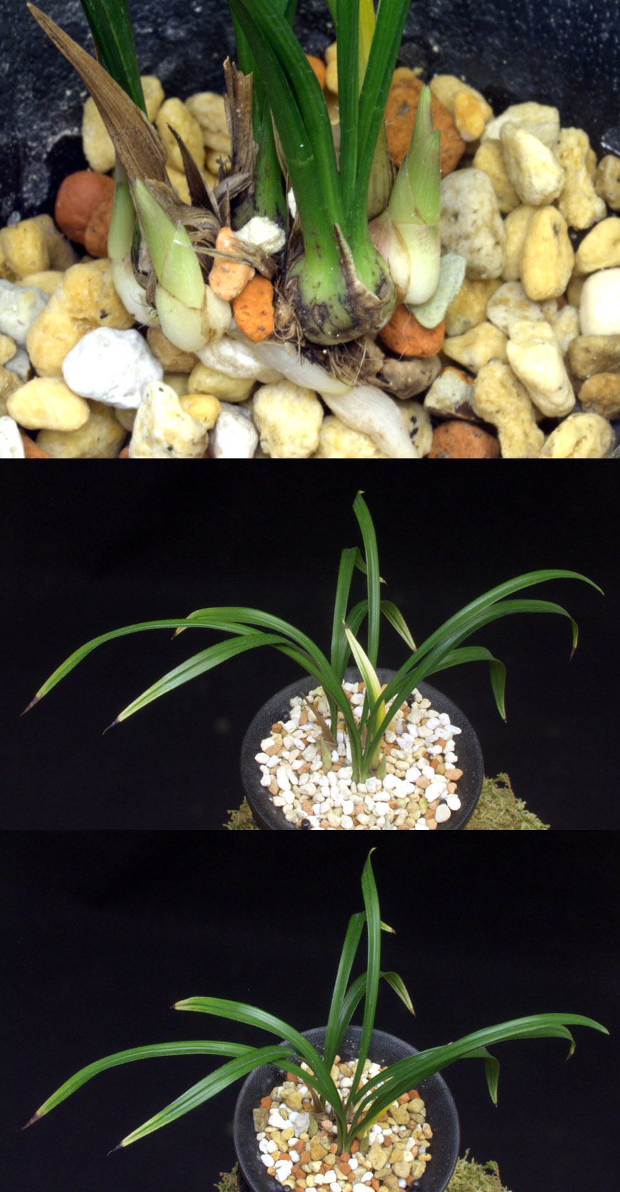 ������ ū������ �� �� �ֽ��ϴ�.