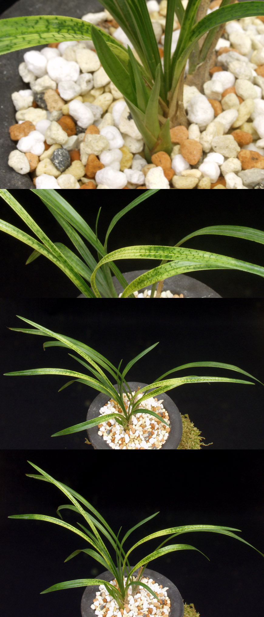 ������ ū������ �� �� �ֽ��ϴ�.