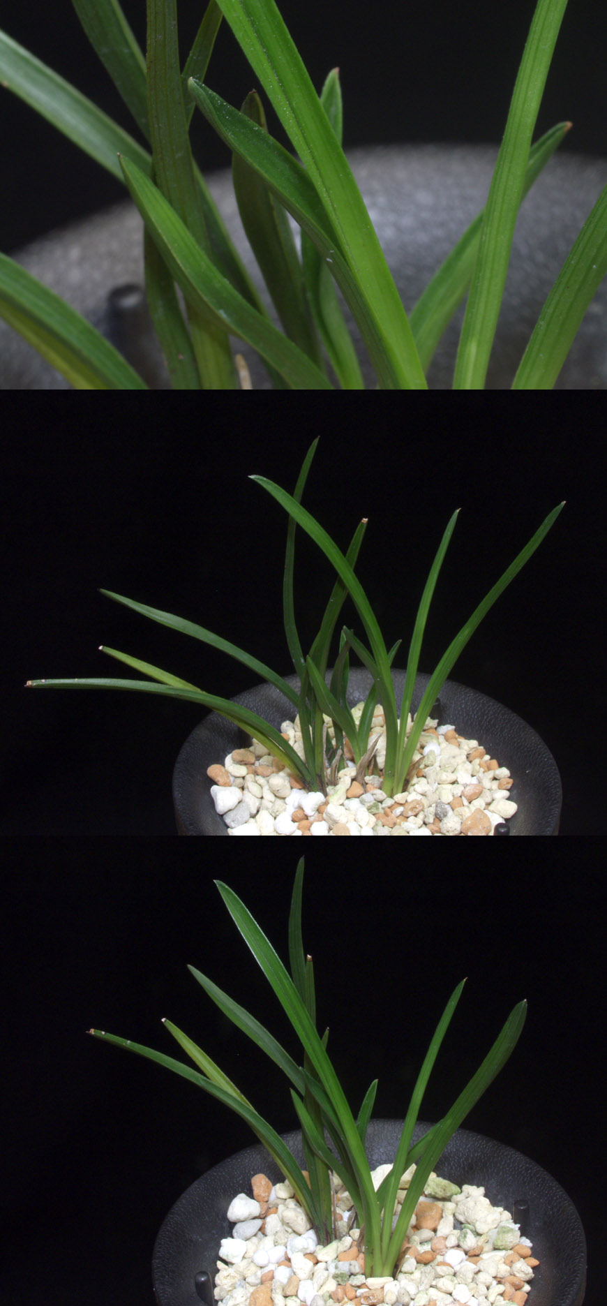 ������ ū������ �� �� �ֽ��ϴ�.