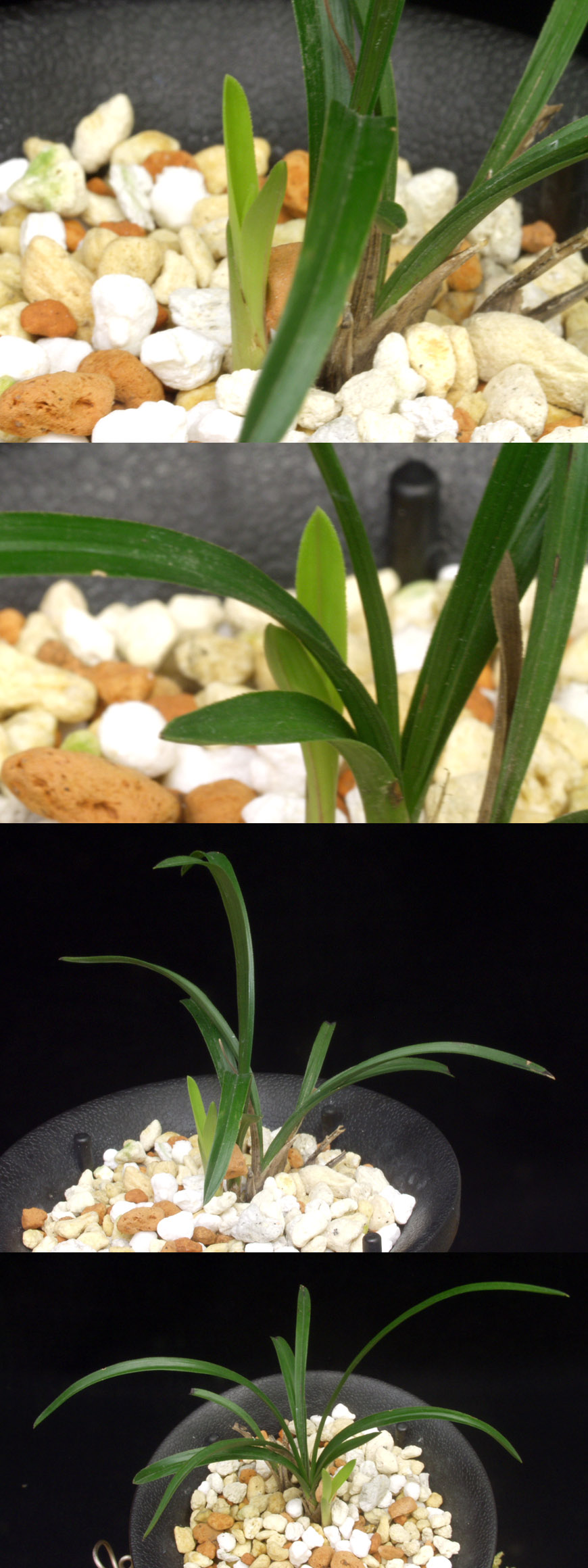 ������ ū������ �� �� �ֽ��ϴ�.