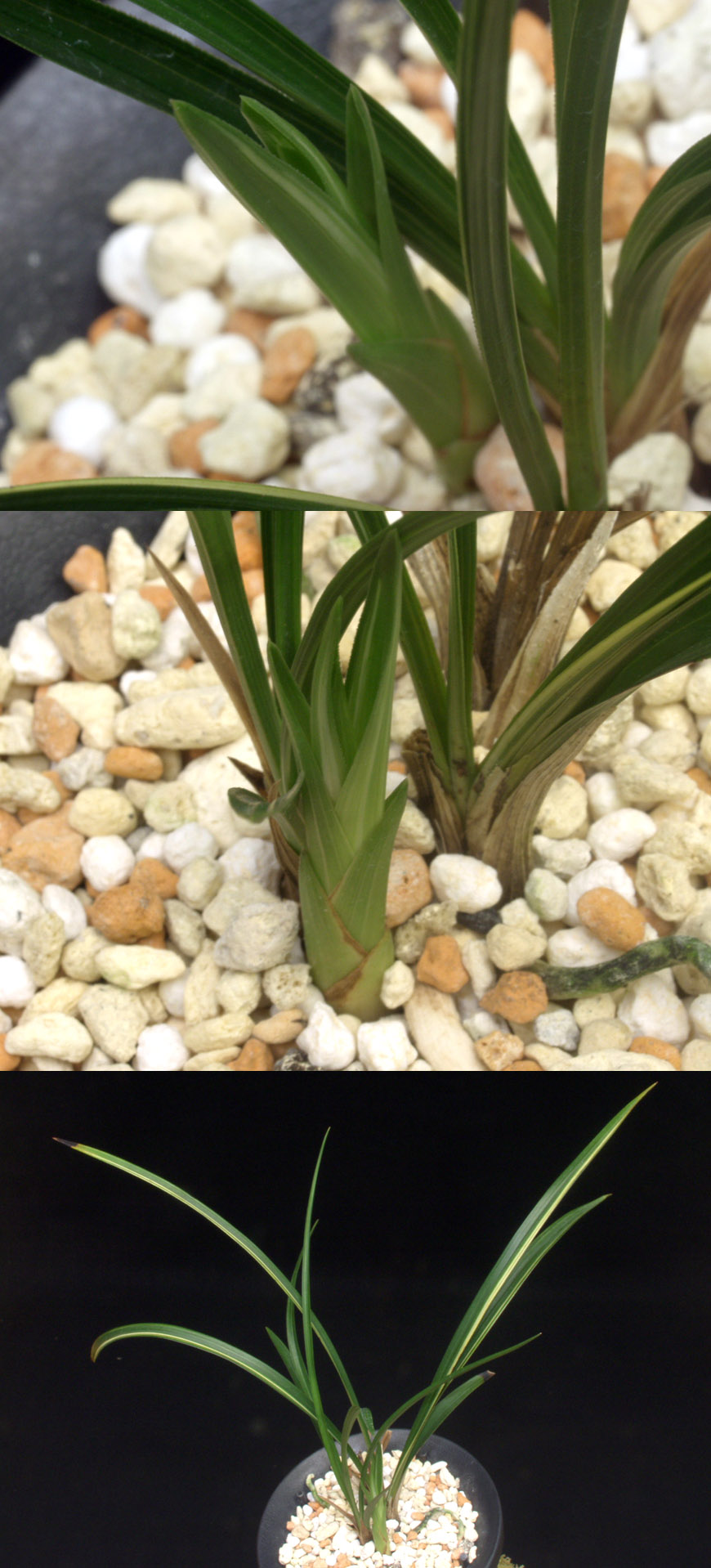 ������ ū������ �� �� �ֽ��ϴ�.