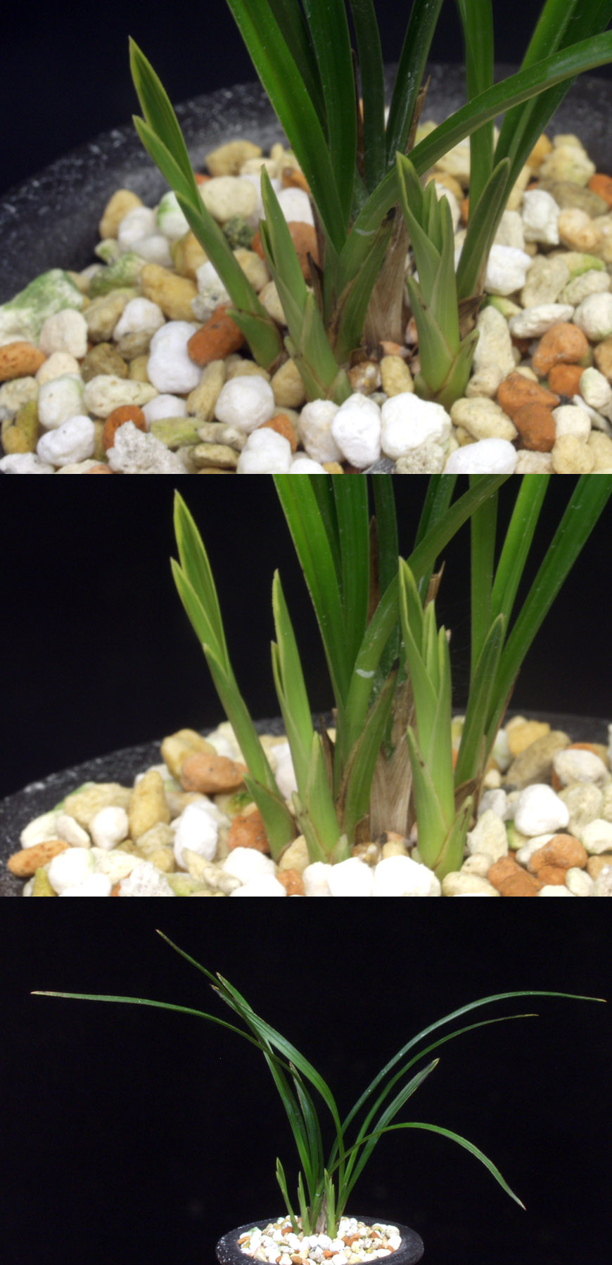 ������ ū������ �� �� �ֽ��ϴ�.