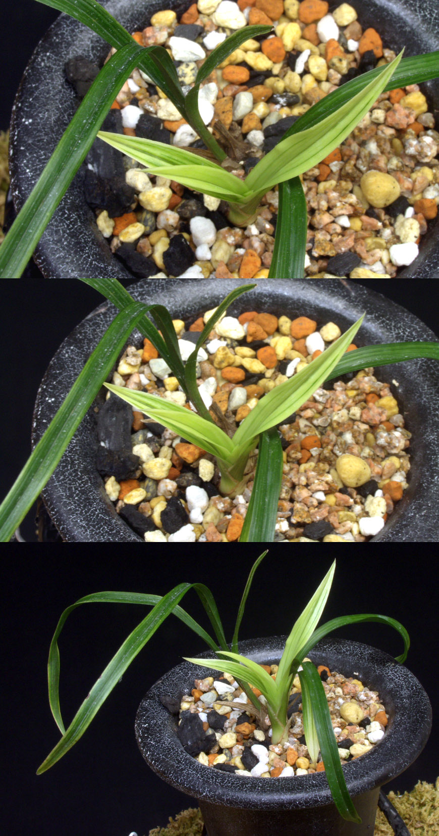 ������ ū������ �� �� �ֽ��ϴ�.