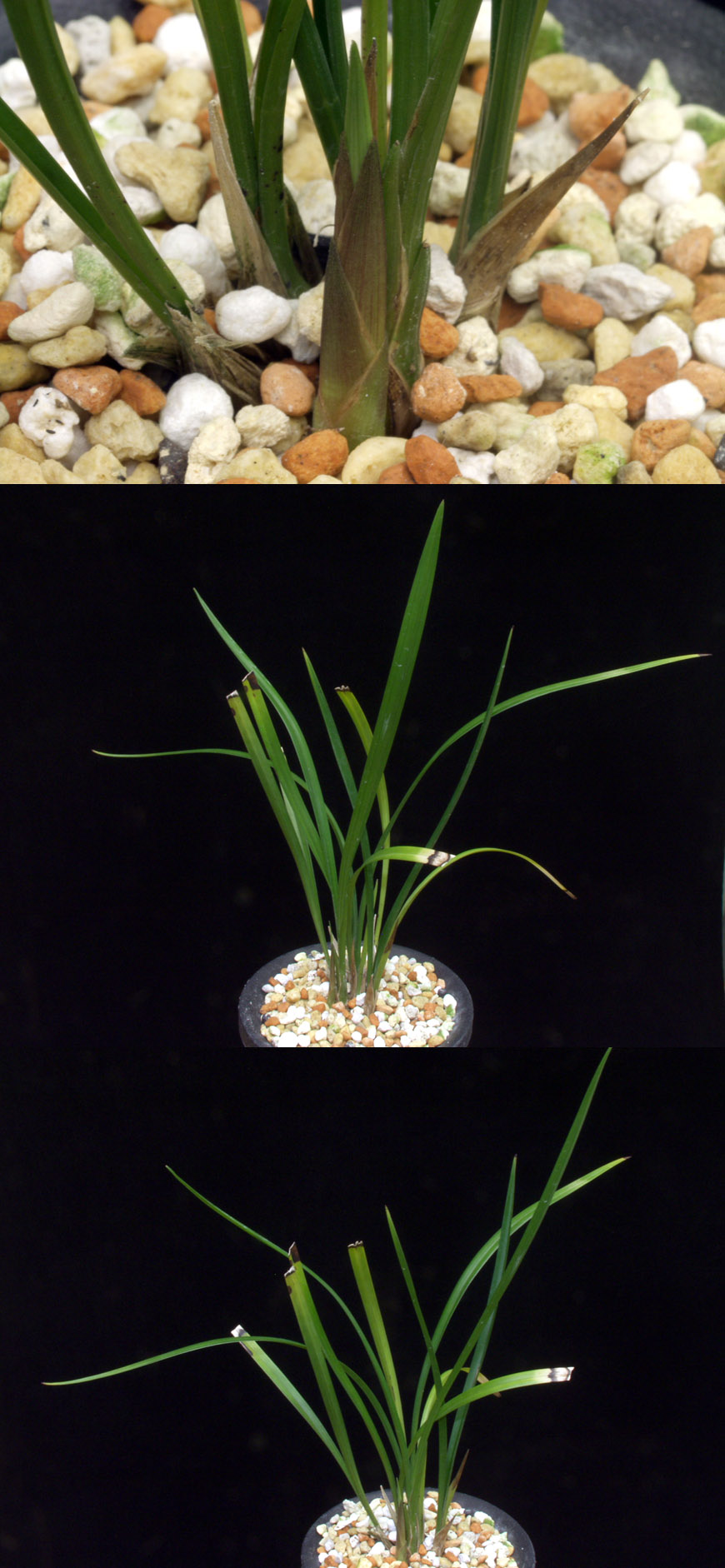 ������ ū������ �� �� �ֽ��ϴ�.