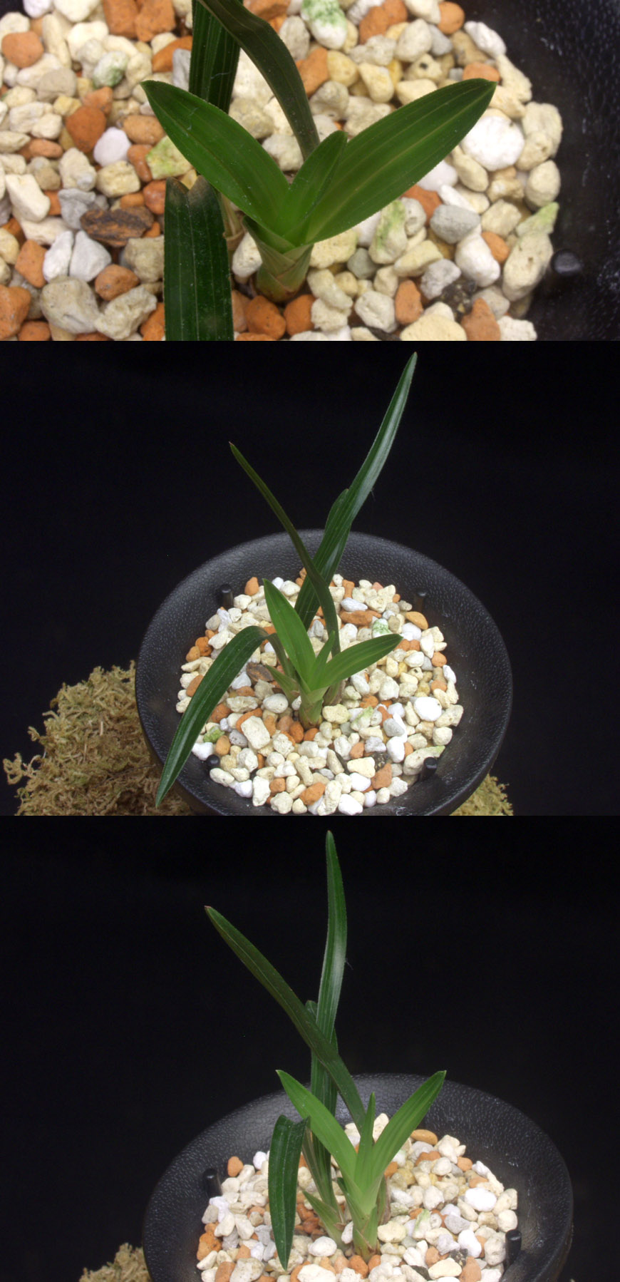 ������ ū������ �� �� �ֽ��ϴ�.