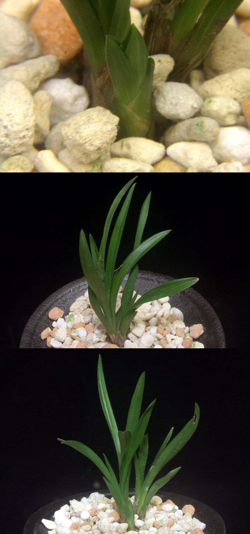 ������ ū������ �� �� �ֽ��ϴ�.