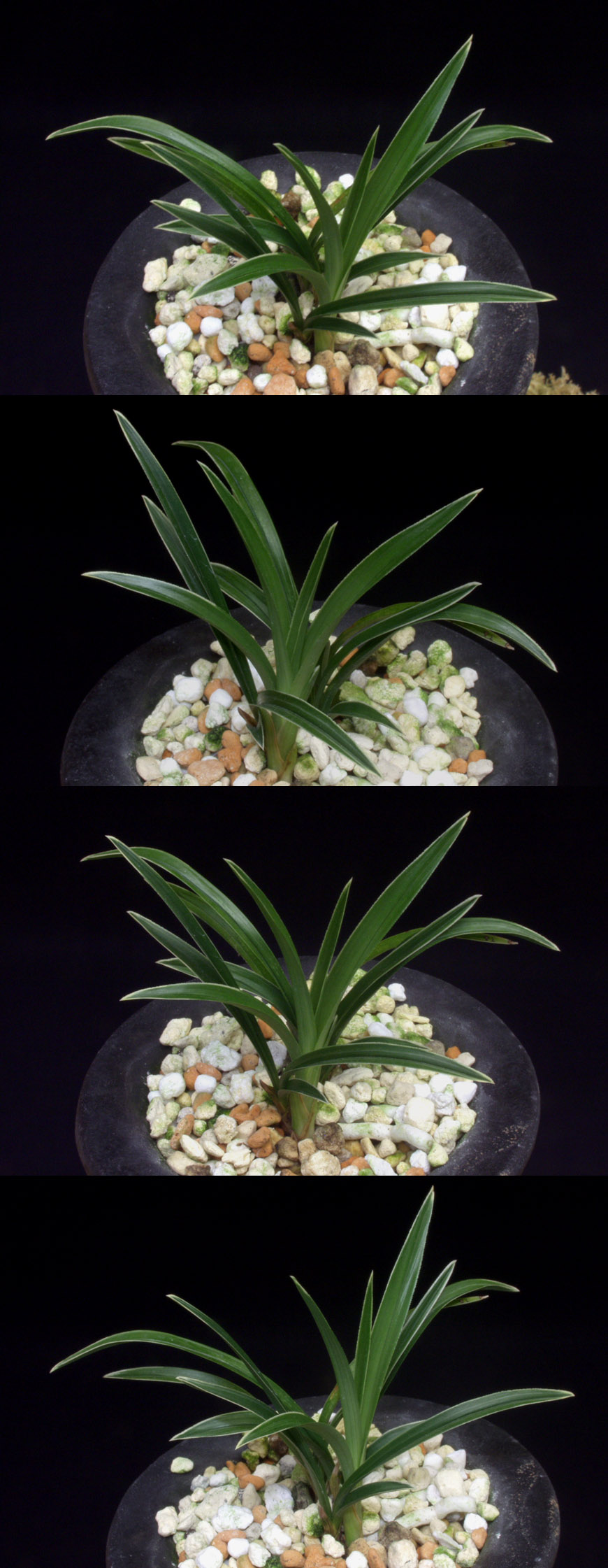 ������ ū������ �� �� �ֽ��ϴ�.