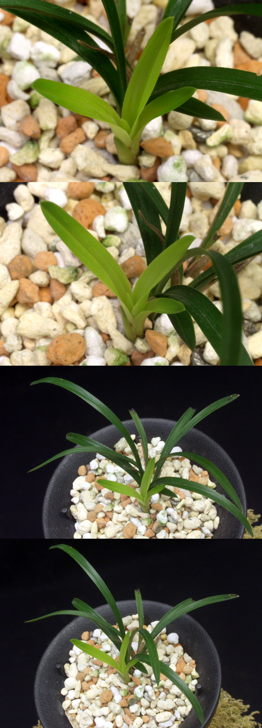 ������ ū������ �� �� �ֽ��ϴ�.