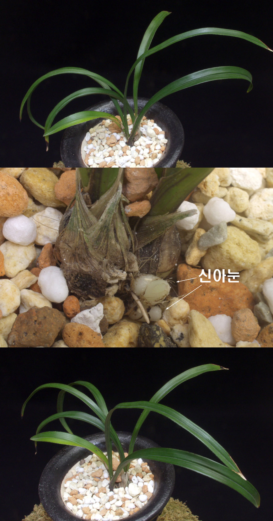 ������ ū������ �� �� �ֽ��ϴ�.