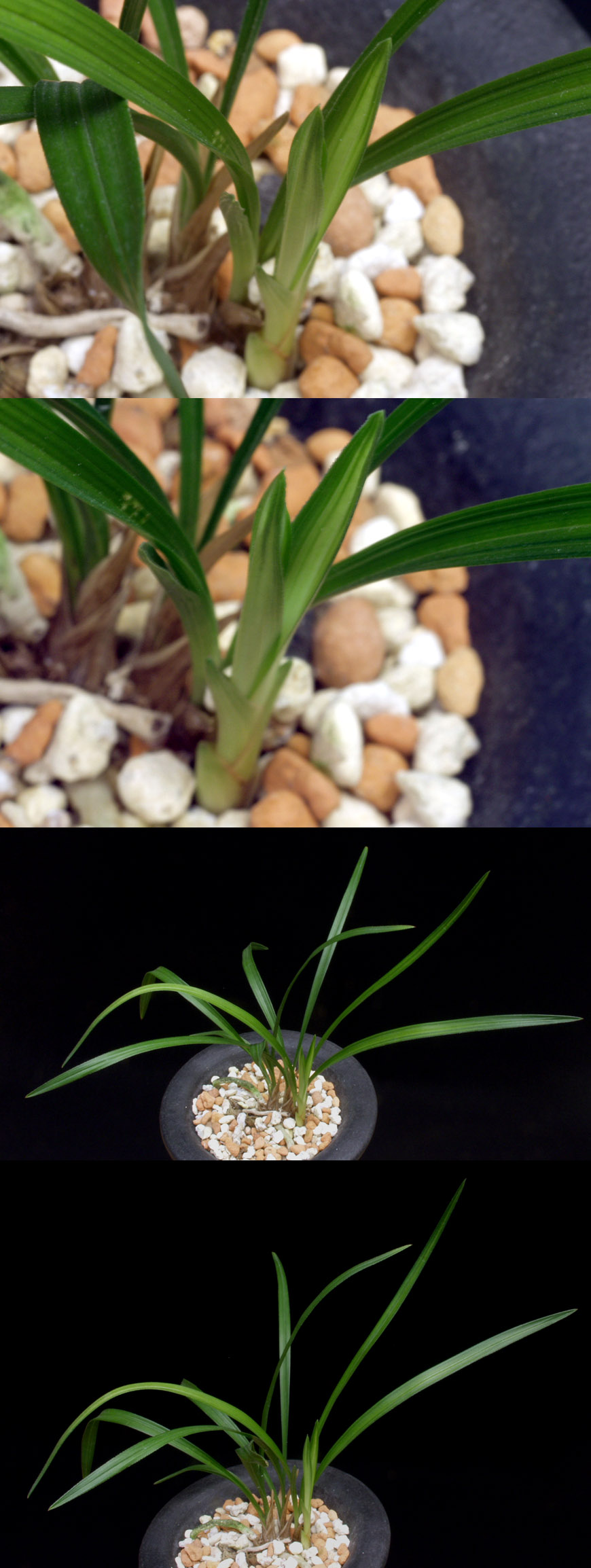 ������ ū������ �� �� �ֽ��ϴ�.