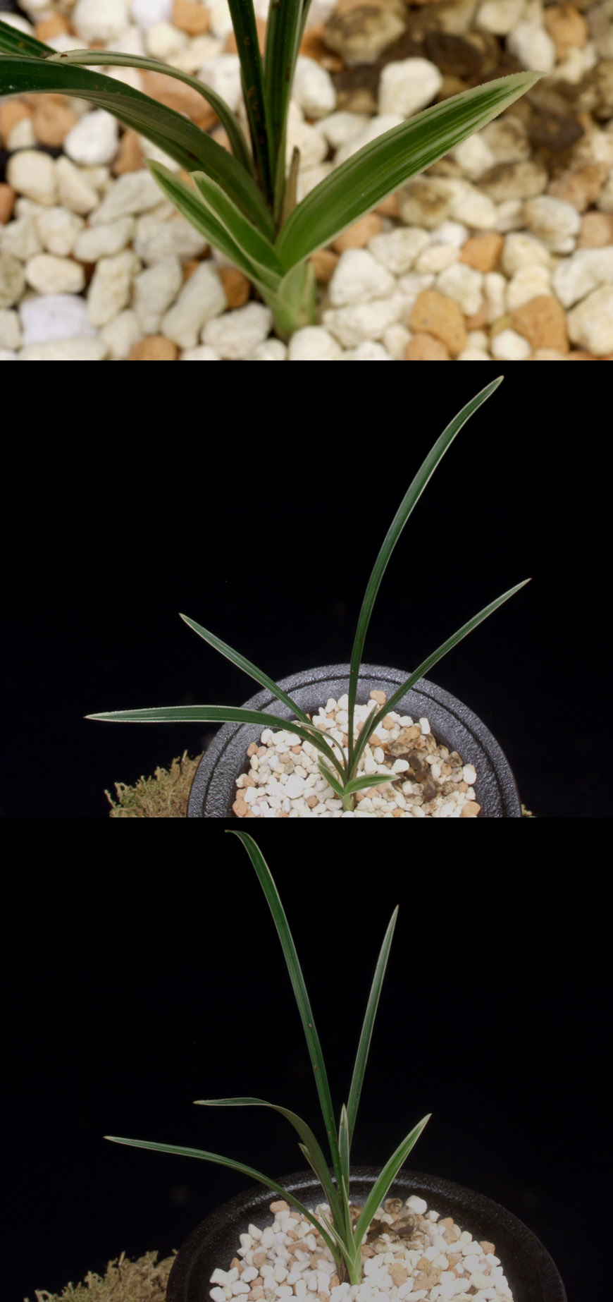 ������ ū������ �� �� �ֽ��ϴ�.