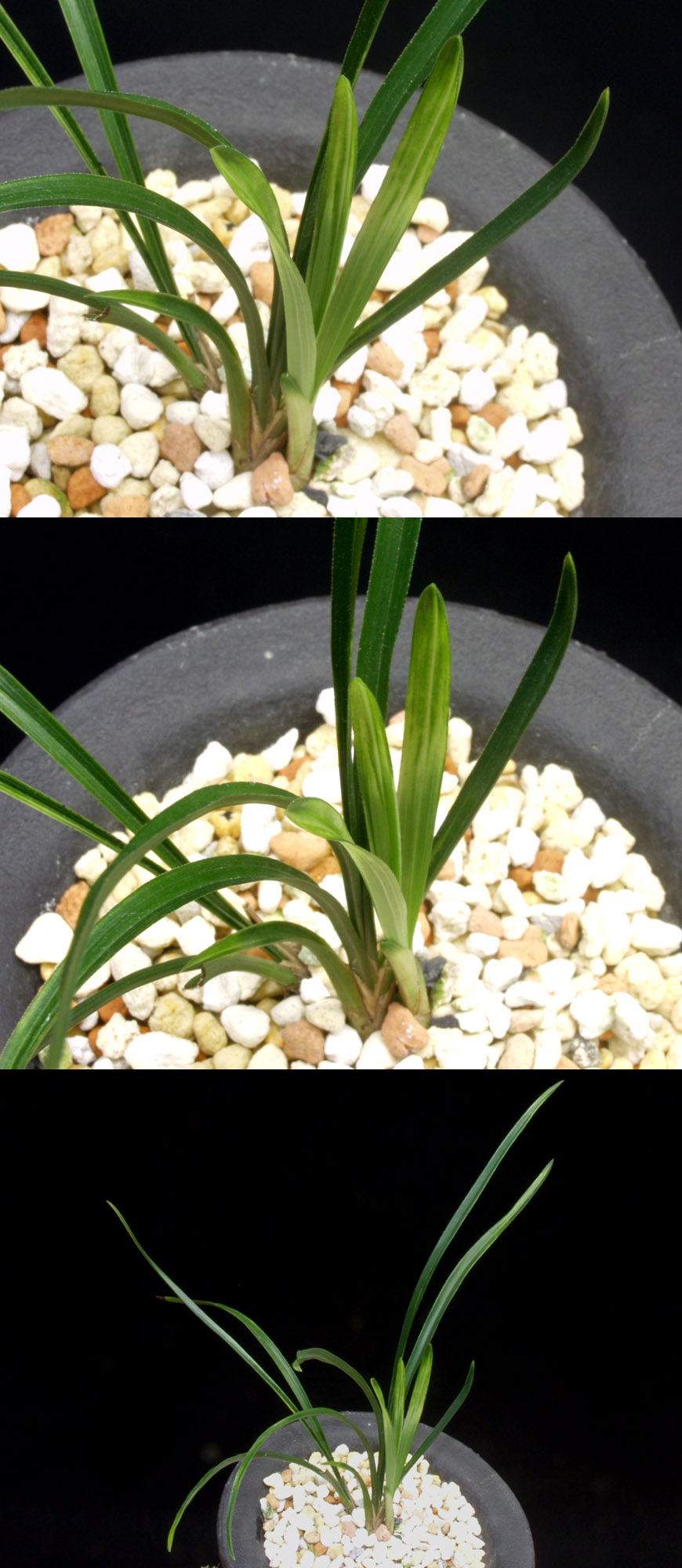 ������ ū������ �� �� �ֽ��ϴ�.