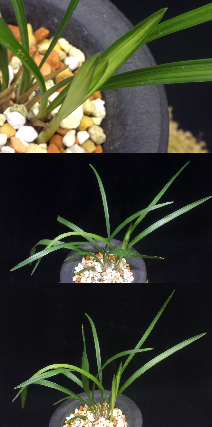 ������ ū������ �� �� �ֽ��ϴ�.