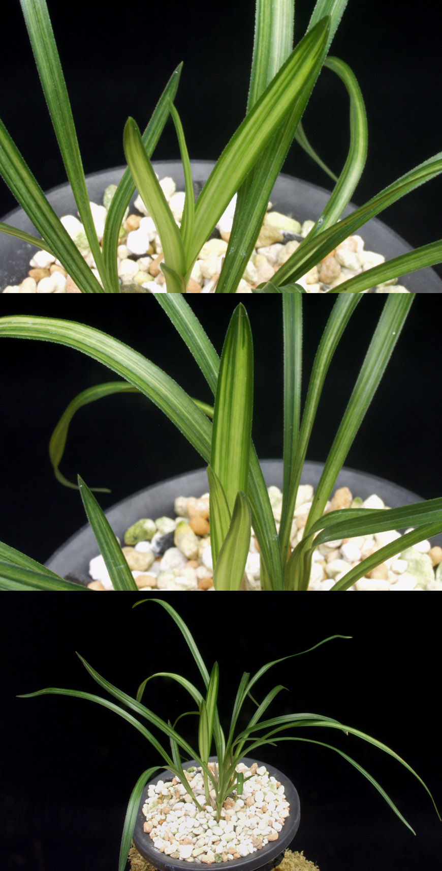 ������ ū������ �� �� �ֽ��ϴ�.