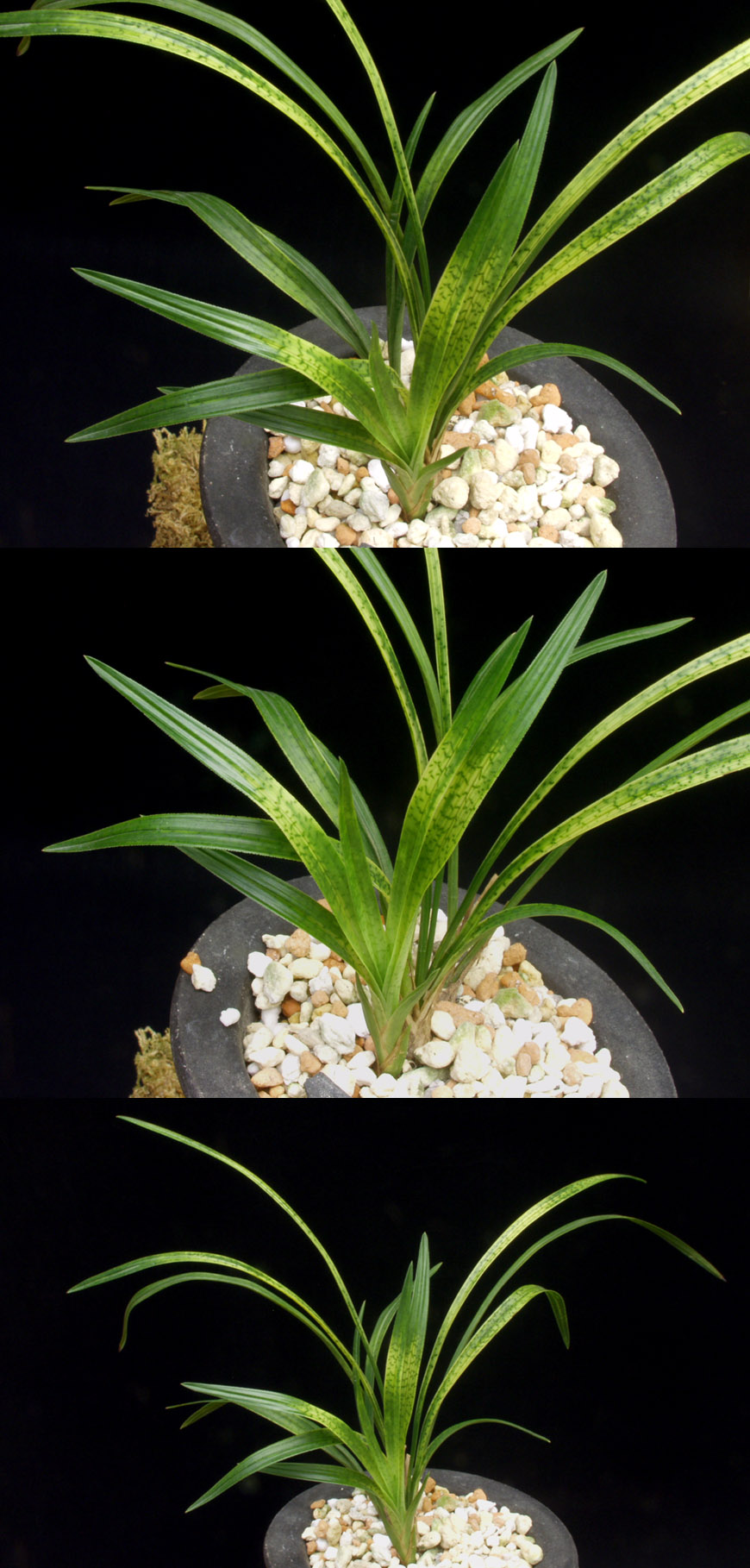 ������ ū������ �� �� �ֽ��ϴ�.