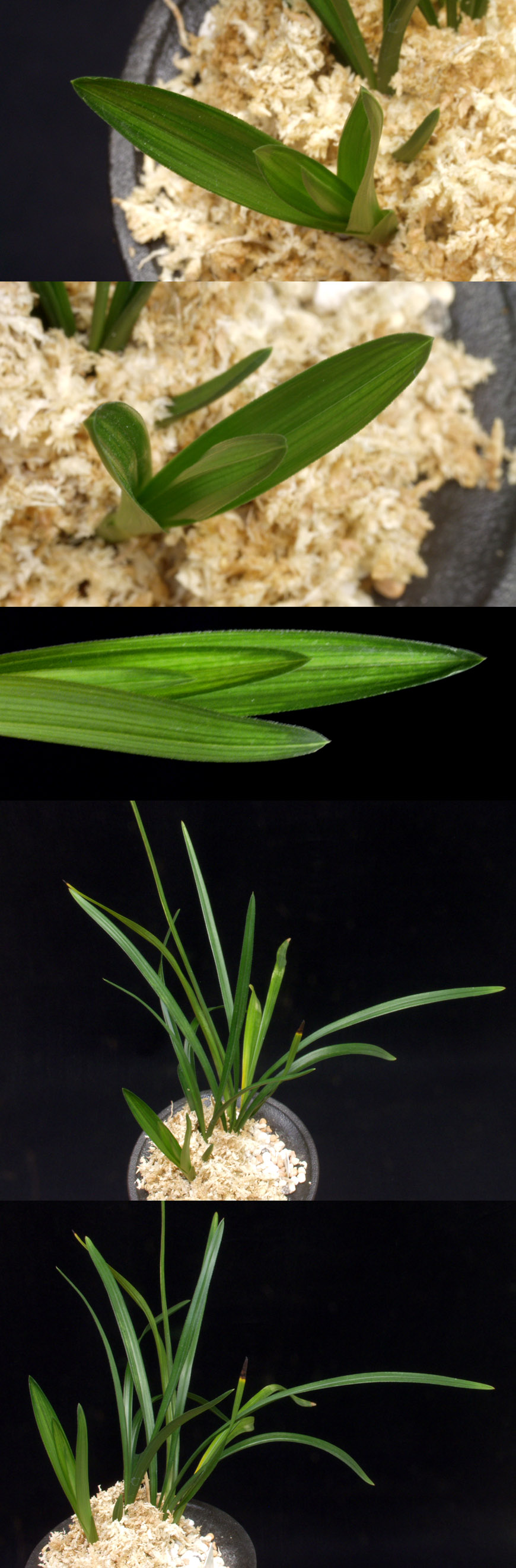 ������ ū������ �� �� �ֽ��ϴ�.