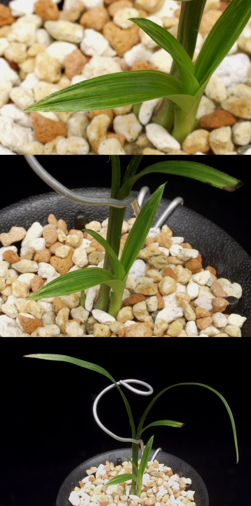 ������ ū������ �� �� �ֽ��ϴ�.