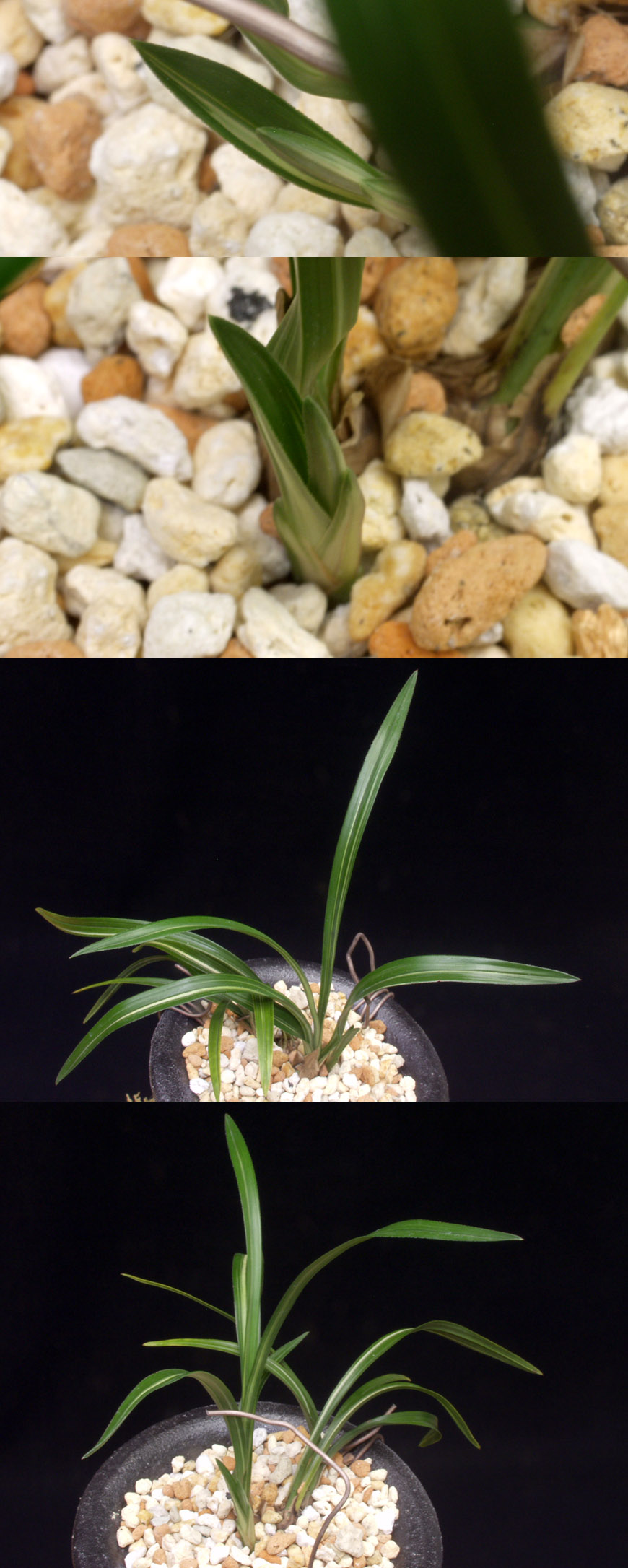 ������ ū������ �� �� �ֽ��ϴ�.