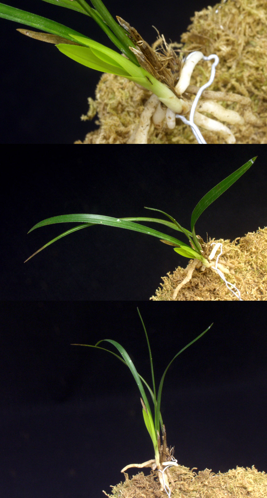 ������ ū������ �� �� �ֽ��ϴ�.