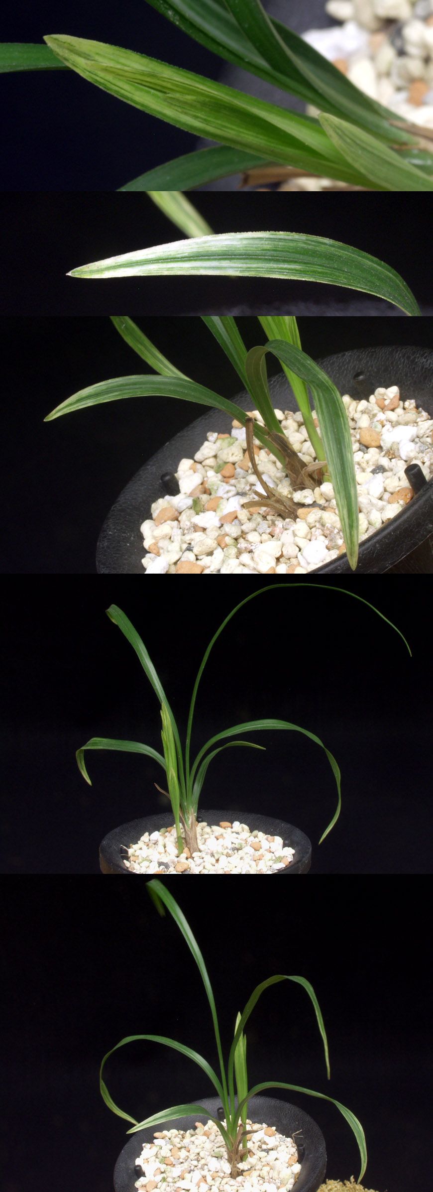 ������ ū������ �� �� �ֽ��ϴ�.