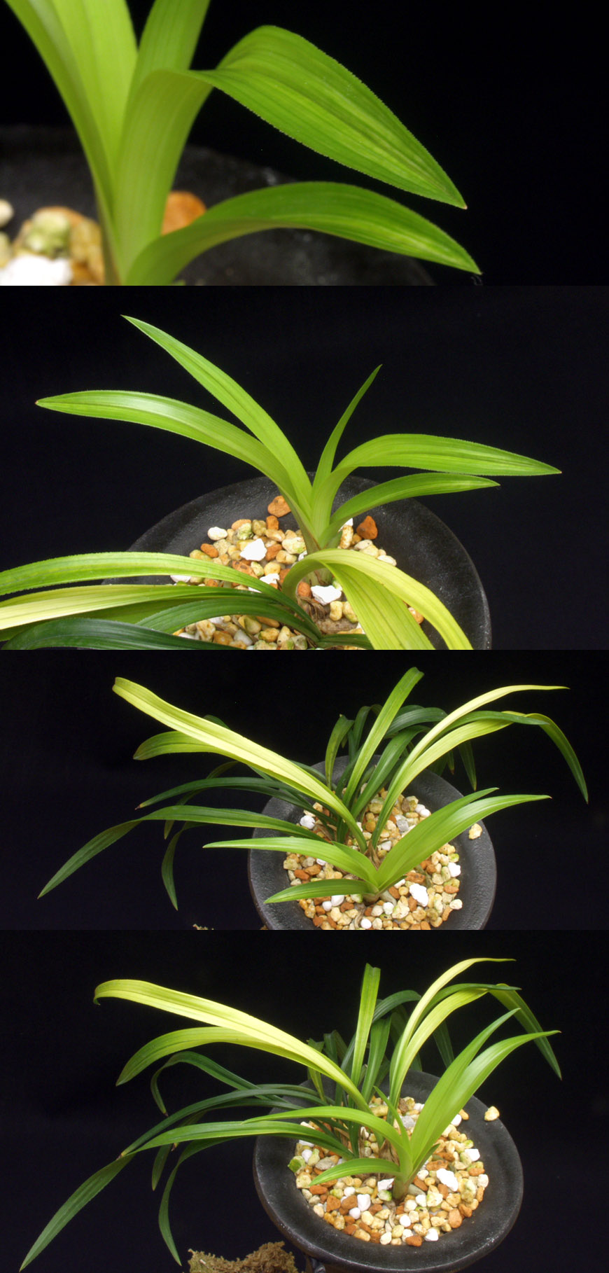 ������ ū������ �� �� �ֽ��ϴ�.