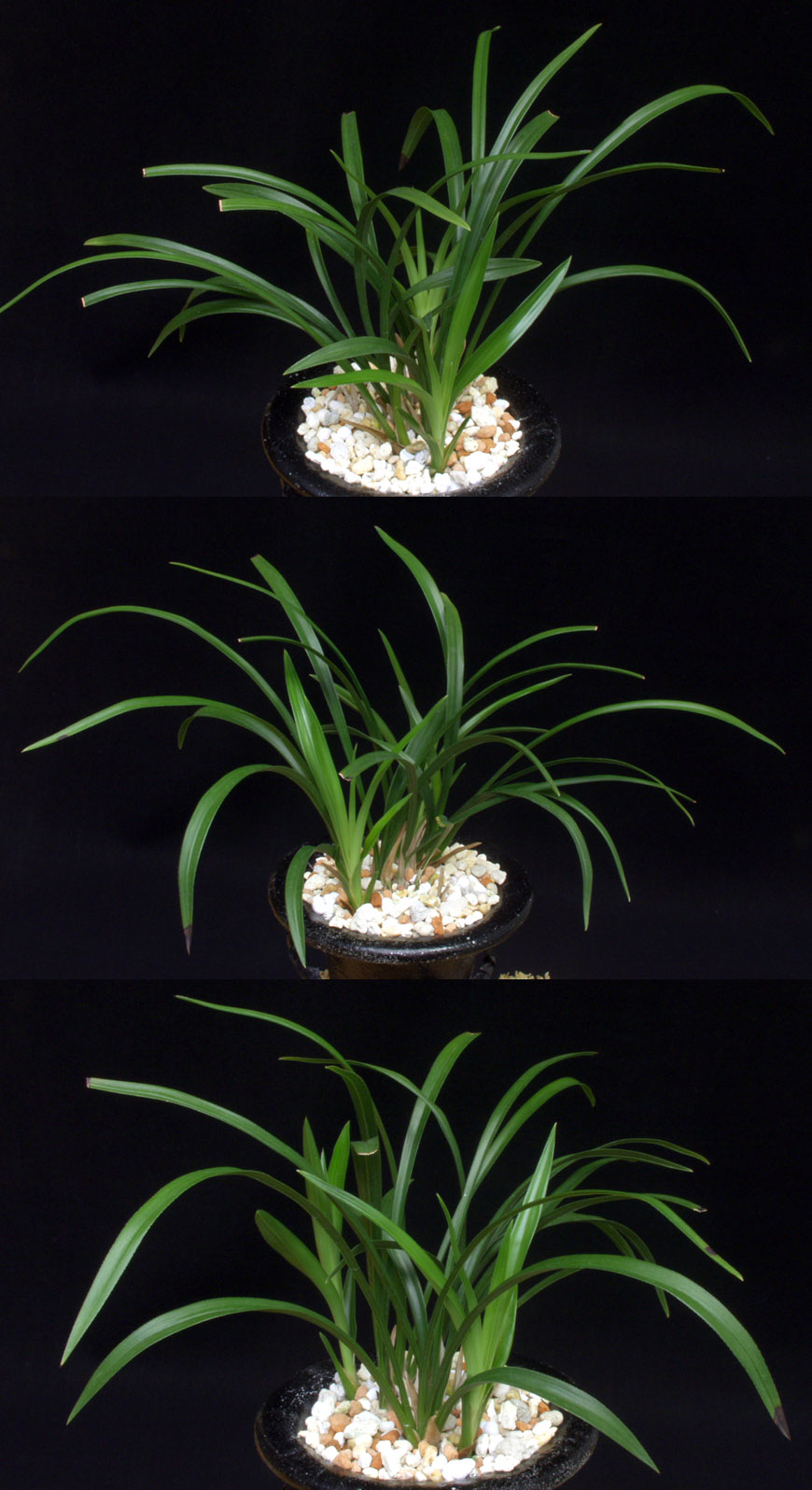 ������ ū������ �� �� �ֽ��ϴ�.